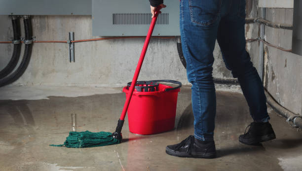 Best Basement water damage restoration  in Mcalester, OK