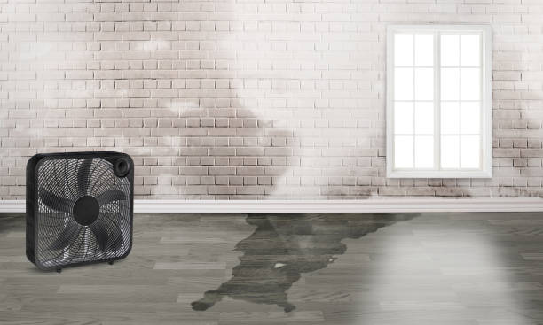Best Local water damage restoration  in Mcalester, OK