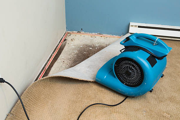 Best Water damage restoration process  in Mcalester, OK